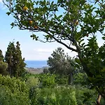 K Vineyard House *
