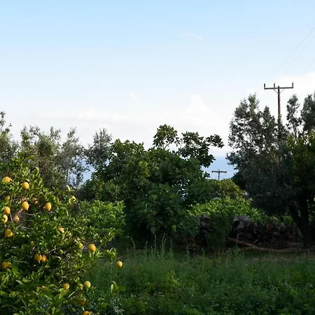 K Vineyard House * Aprovaton