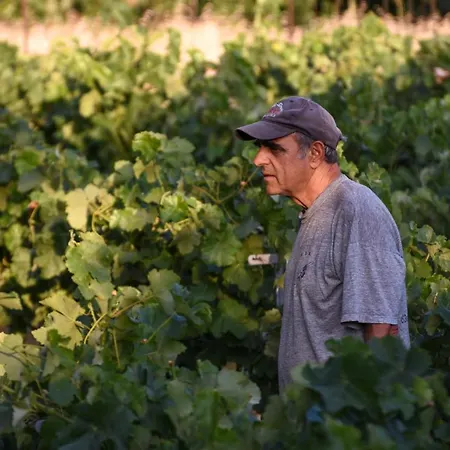 K Vineyard House Holiday home