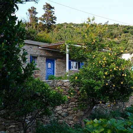 K Vineyard House Aprovaton