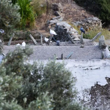 K Vineyard House Ferienhaus Aprovaton