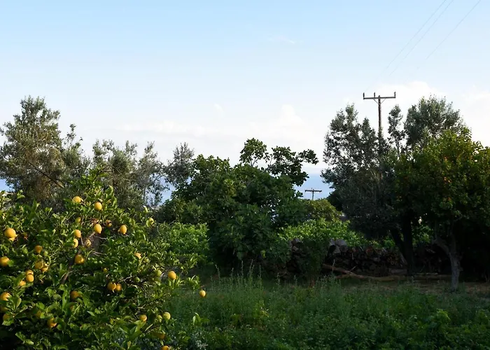 K Vineyard House * Aprovaton