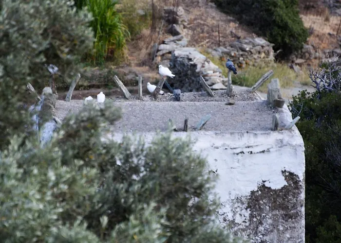 K Vineyard House Сasa de vacaciones Aprovaton